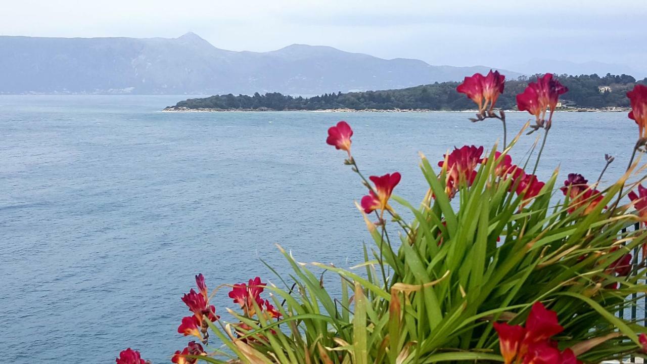 Roof Garden House Apartment Corfu  Luaran gambar