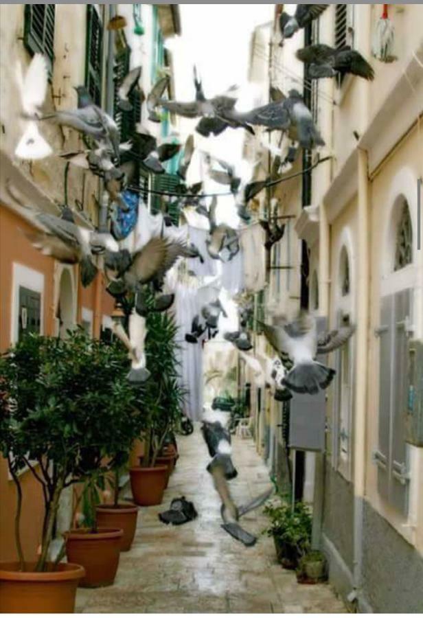 Roof Garden House Apartment Corfu  Luaran gambar